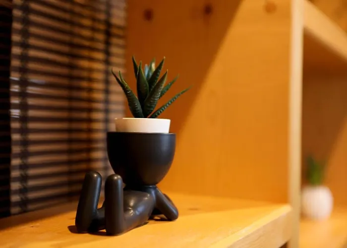 Terrazza Piccinni 4* 巴里